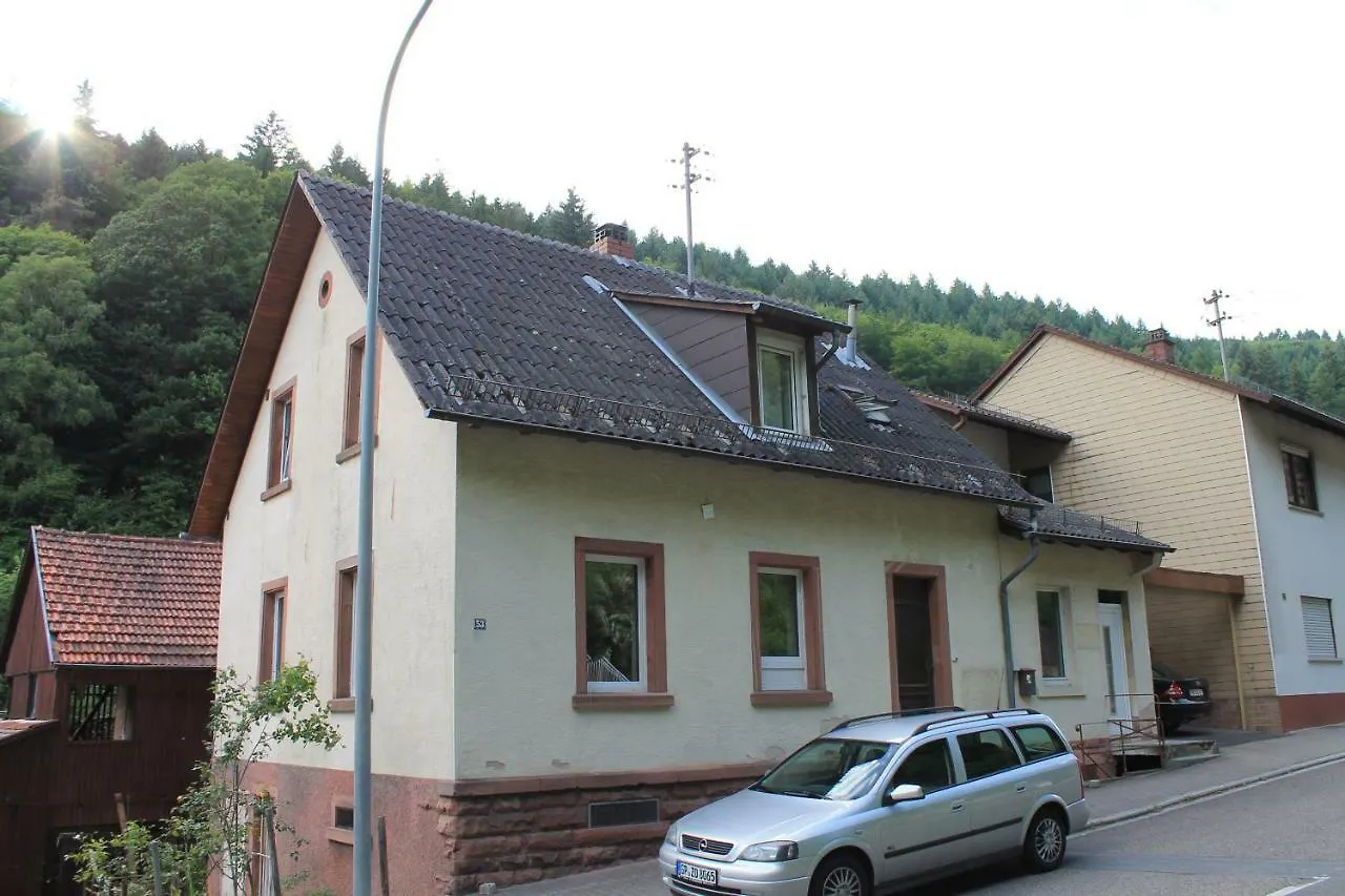 Lenas familienfreundliche Ferienwohnung Heidelberg 0*,  Deutschland